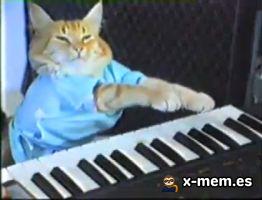 Mème : Keyboard Cat (chat, échec, piano, keyboard cat)