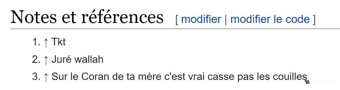 Mème : Wikipédia