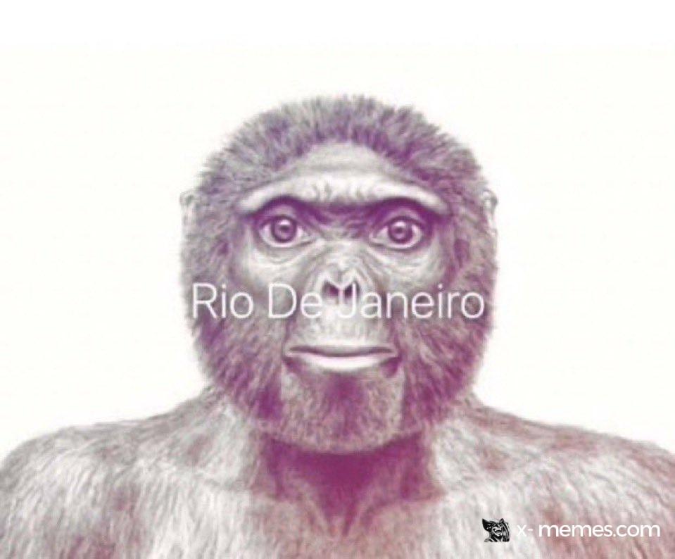 Mème : Singe Rio de Janeiro