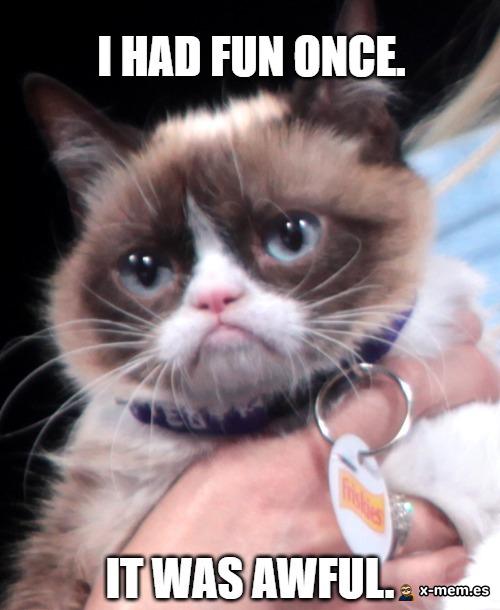 Mème : Grumpy Cat (chat, culture internet, grumpy cat, mauvaise humeur)