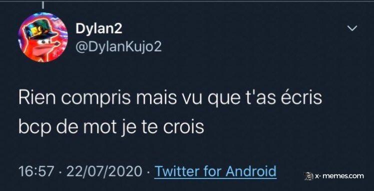 Mème : Rien compris mais vu que t'as écris beaucoup de mots je te crois