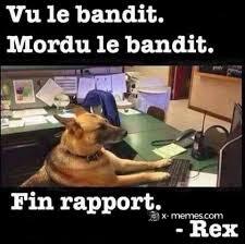 Vu le bandit. Mordu le bandit.