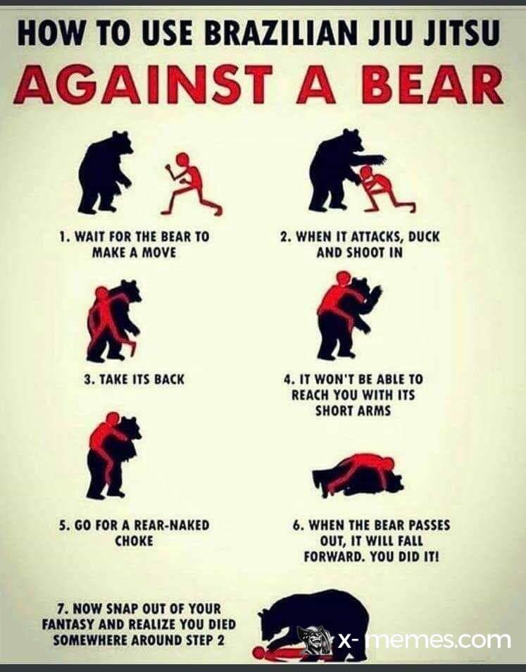 Mème : How to fight a bear
