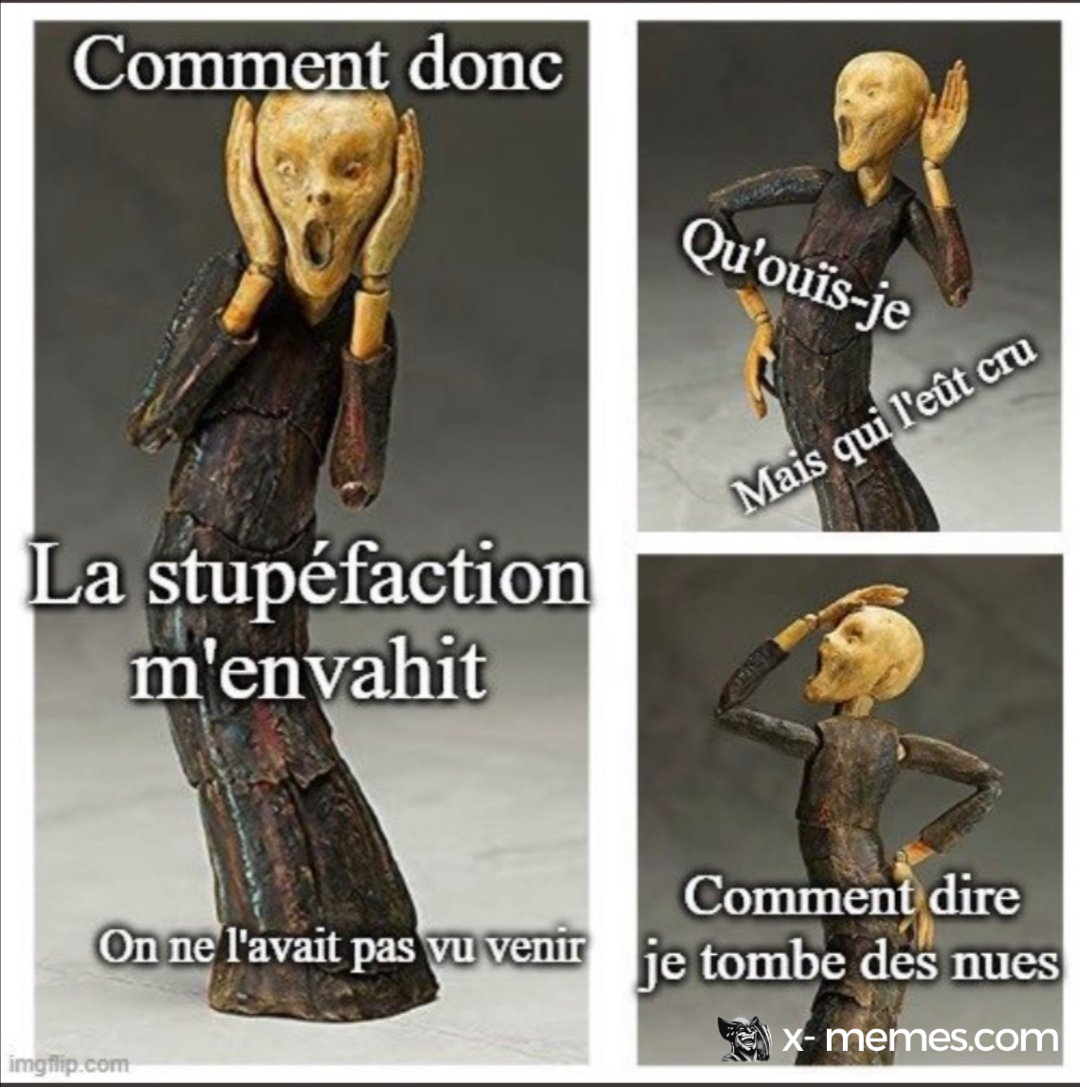 Mème : Quelle surprise