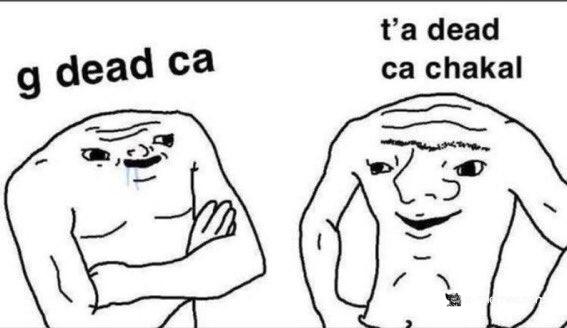 Mème : Wojak bête dead ça chakal