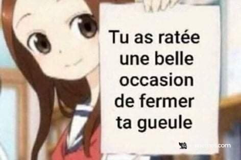 Mème : Tu as raté une belle occasion de fermer ta gueule