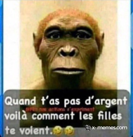 Mème : Quand t'as pas d'argent, les meufs te voient comme ça #2