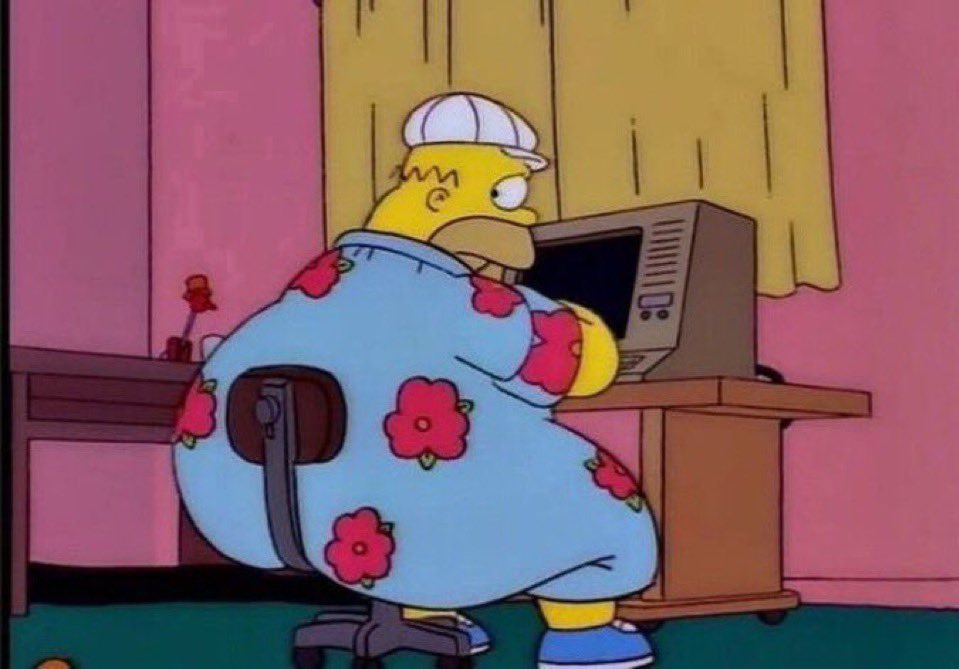 Homer Simpson gros devant son ordinateur