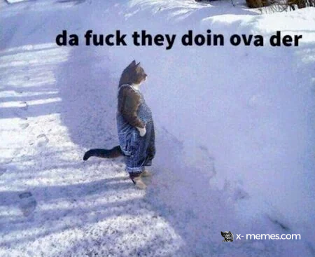 Mème : da fuck they doin ova der