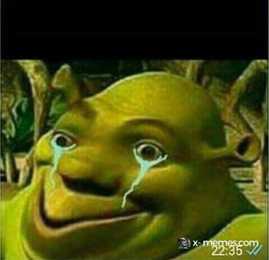 Mème : Shrek très triste