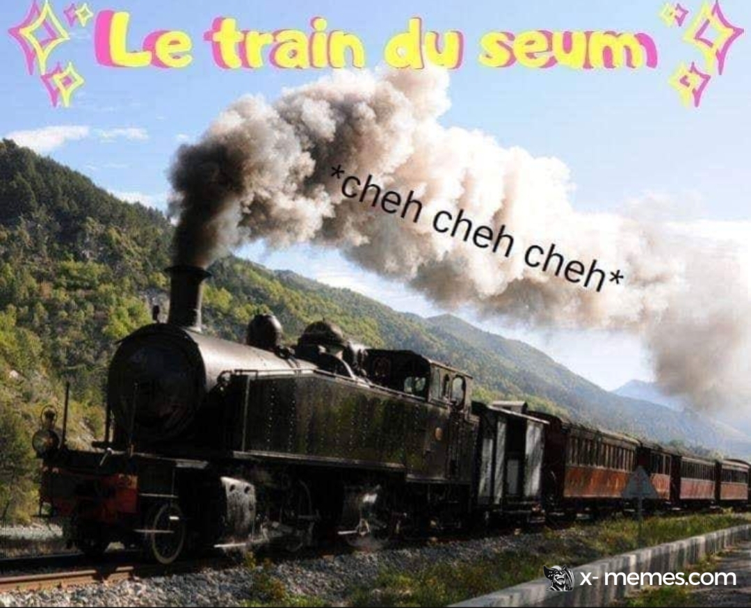 Mème : Le train du seum