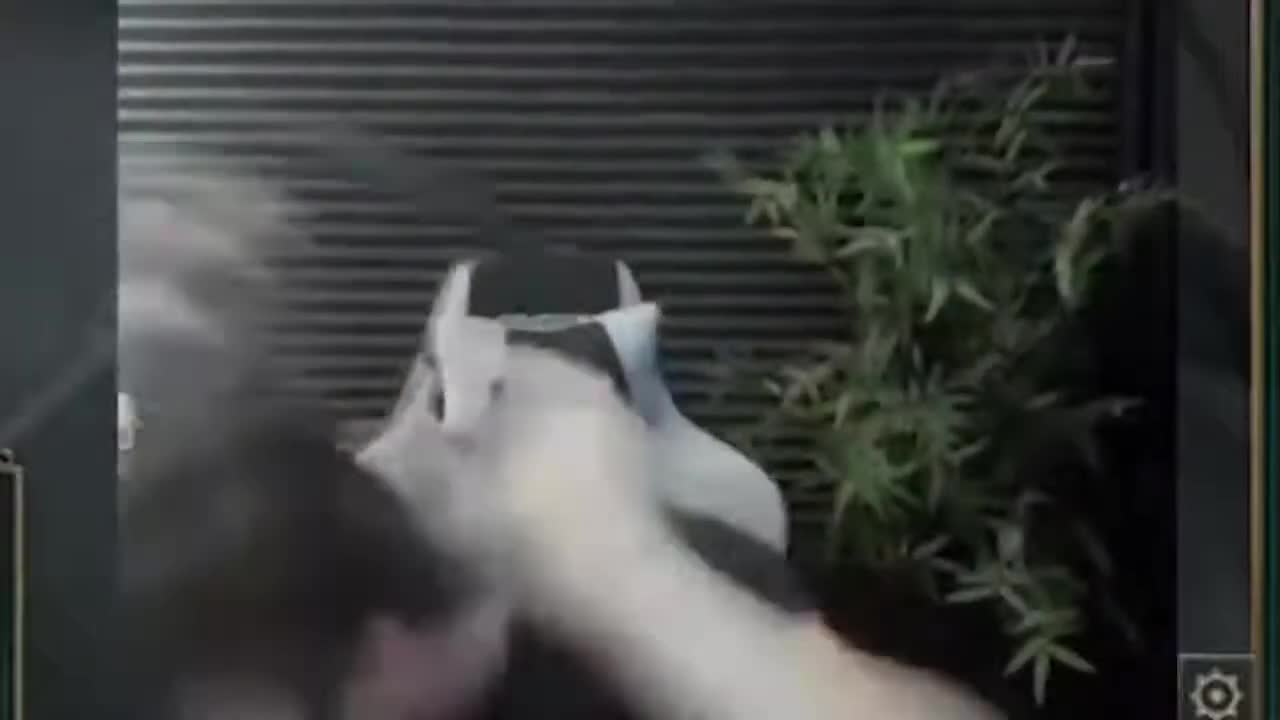 Mème : Sardoche J'en ai trop marre ils sont trop cons