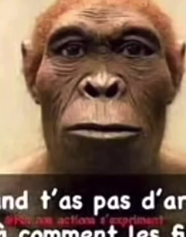 Mème : Quand t'as pas d'argent, les meufs te voient comme ça
