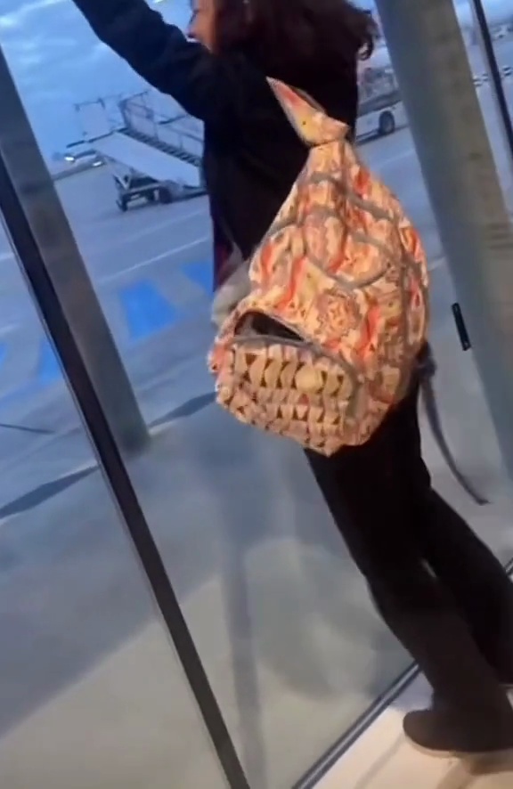 Mème : Oh s’il vous plaît mon avion