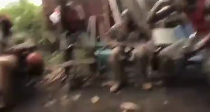 Mème : Chimpanzé qui tire à l'AK-47 - La Planète des Singes