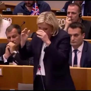 Mème : Marine Le Pen