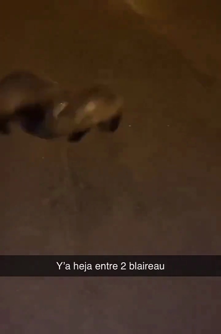 Mème : Y a heja entre 2 blaireaux