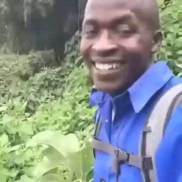 Mème : O.K.