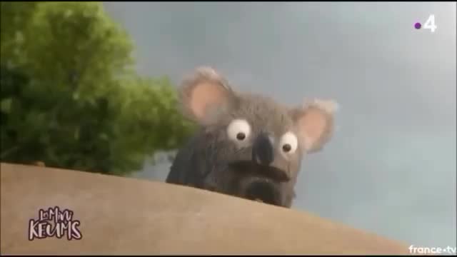 Mème : Oh la boulette - Les As de la Jungle