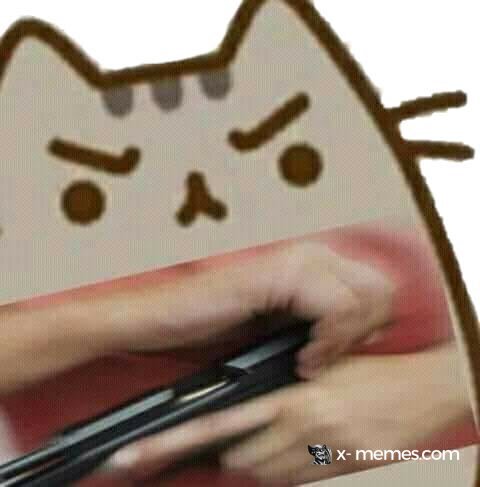Mème : Chat vénère