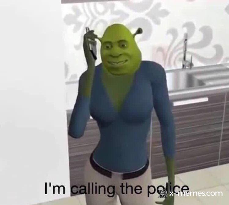 Mème : I'm calling the police (Shrek)
