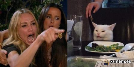 Mème : Woman Yelling at a Cat (chat, télé-réalité, woman yelling at a cat, dispute)