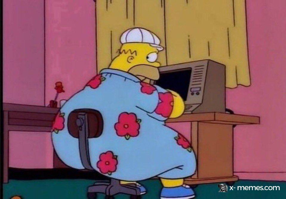 Mème : Homer Simpson gros devant son ordinateur